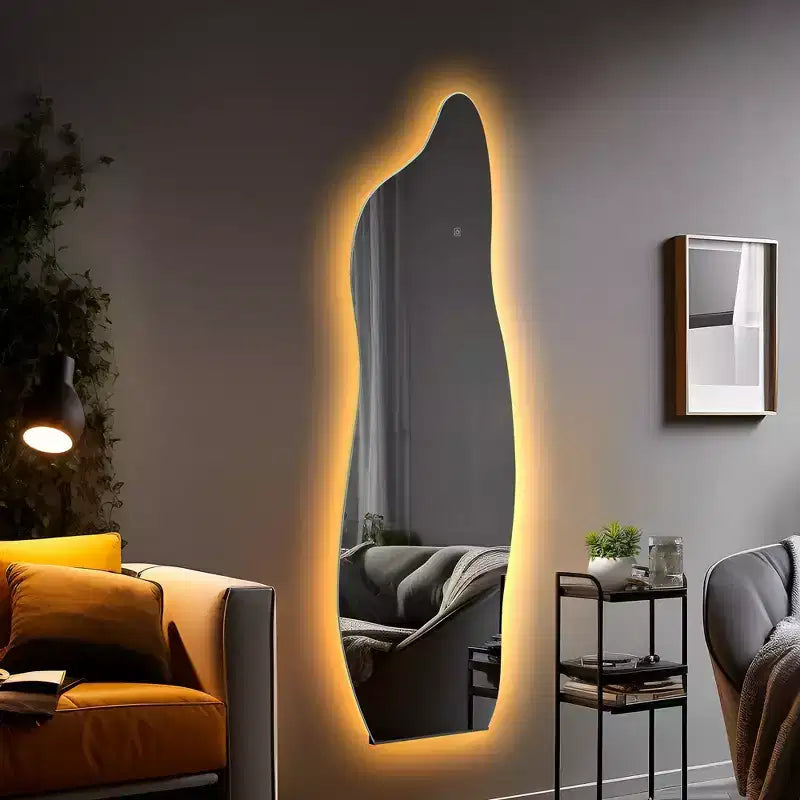 Specchio a figura intera irregolare da 24 pollici L x 63 pollici H, in argento